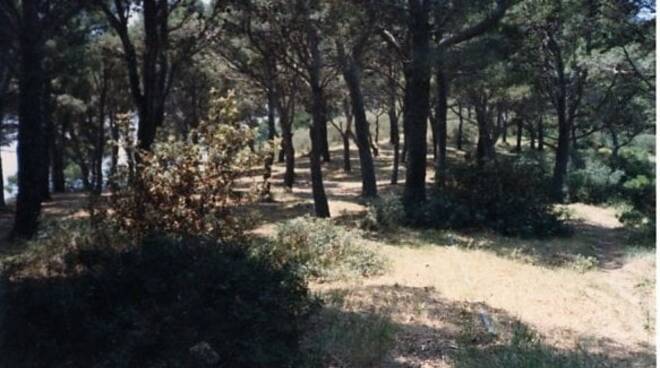 Capri, importanti lavori per il ripristino del tornante di scale che porta al belvedere di Piazzetta delle Noci