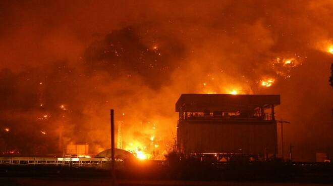 Caldo e incendi, Onu: "Il mondo è in fiamme"