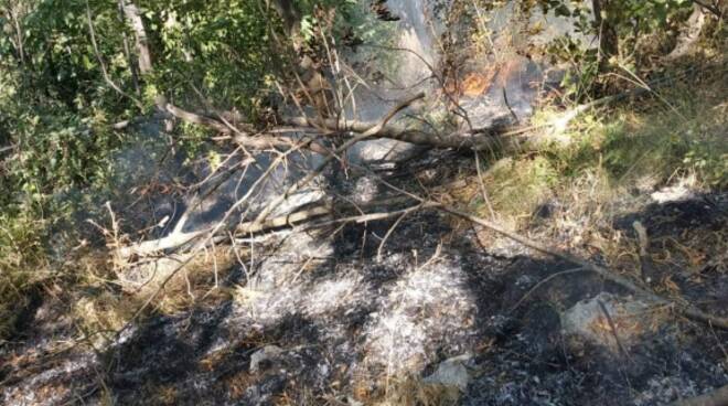 Cava de' Tirreni: tentativo di incendio a Monte Caruso