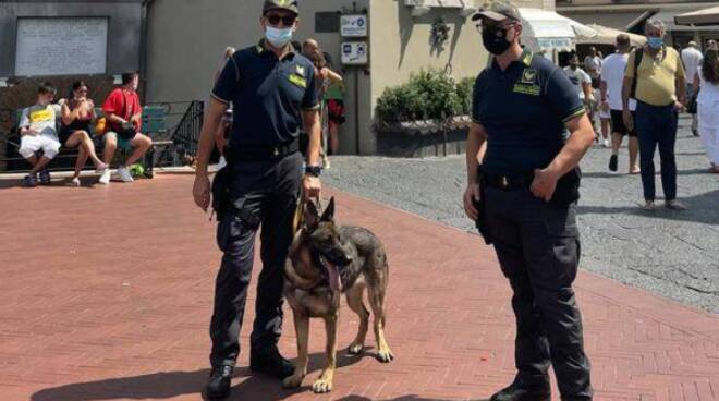 Controlli anti droga a Capri: in piazzetta le unità cinofile