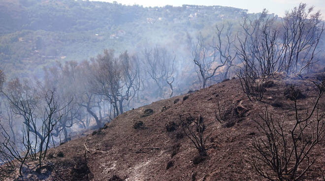 incendio Massa Lubrense