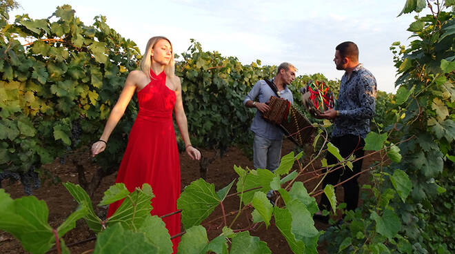 Nel Salento è iniziato il grande rito della vendemmia nelle Tenute Schiena