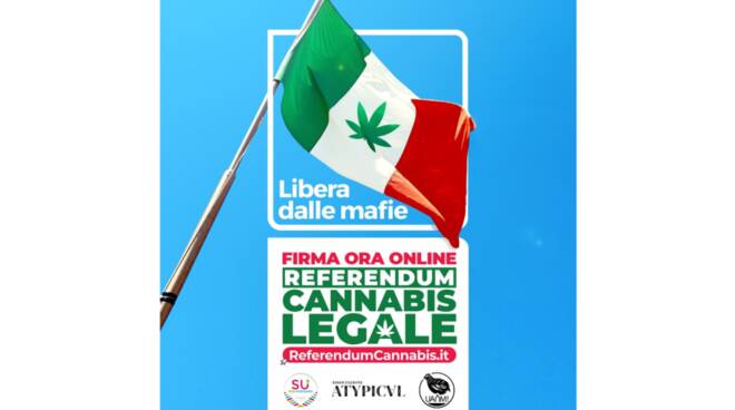 Costiera Amalfitana: anche il Collettivo UANM aderisce al Referendum sulla depenalizzazione della cannabis