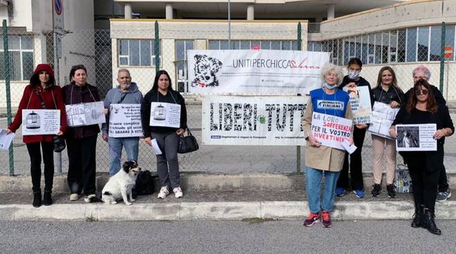 Animalisti in protesta a Salerno davanti alla fiera ornitologica