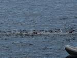 Positano: oggi la gara di nuoto per atleti agonisti e master tesserati FIN