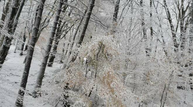Arriva la neve a Vico Equense: Moiano si tinge di bianco!