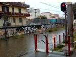 Disastro Circum, stazione allagata a Scafati: l'acqua ferma i treni