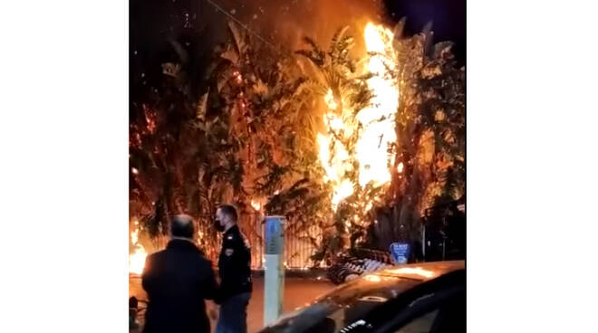 Napoli, fiamme devastano la Villa Comunale. Incendio forse scaturito da fuochi d'artificio