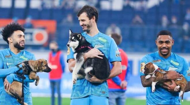 Zenit, i giocatori in campo con i cani in cerca di casa: l'iniziativa per le adozioni