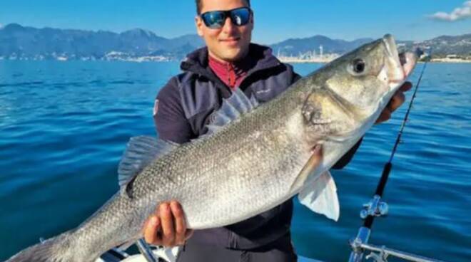 Pesca da record nel golfo di Salerno: preso un branzino da oltre 8kg