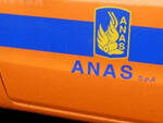 Anas