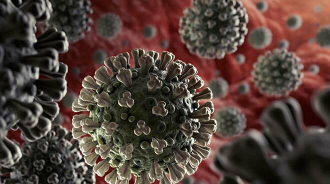 Coronavirus ed immunità innata: il merito è di una proteina che blocca virus e varianti