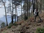 I volontari del WWF piantano 70 abeti sul Monte Faito, nel cuore del parco regionale dei Monti Lattari