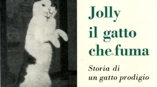 il mitico Jolly, il famoso “gatto che fuma” del Bar Orlando