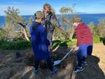 L’Oro di Capri riparte dalla natura: piantumati 25 esemplari di ulivo con i ragazzi dell’I.C. Gemito e della coop La Sciuscella di Anacapri