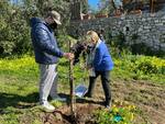 L’Oro di Capri riparte dalla natura: piantumati 25 esemplari di ulivo con i ragazzi dell’I.C. Gemito e della coop La Sciuscella di Anacapri