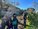 L’Oro di Capri riparte dalla natura: piantumati 25 esemplari di ulivo con i ragazzi dell’I.C. Gemito e della coop La Sciuscella di Anacapri