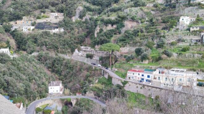 Amalfi, il sindaco Daniele Milano interviene sulle polemiche legate al taglio di un pino nei pressi del cimitero di Vettica