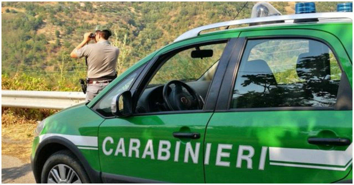 carabinieri forestali