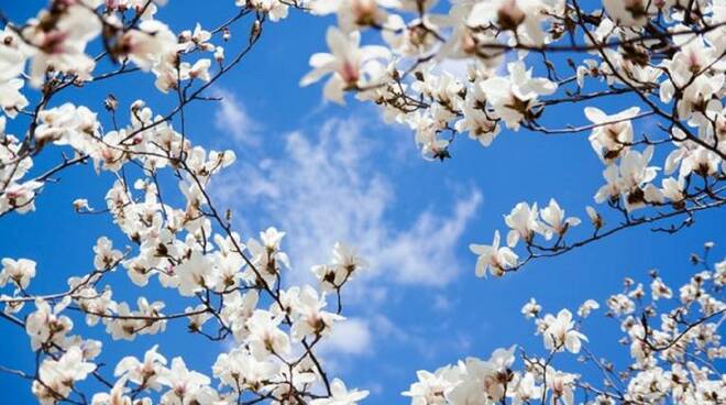 festa della primavera