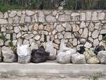 Massa Lubrense: raccolti 7 quintali di rifiuti dai fondali di Marina della Lobra