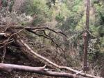 Frana alla Valle delle Ferriere, chiuso il sentiero fra Scala e Amalfi