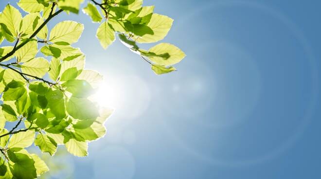 Meta, Farmacia Elifani: "I benefici sulla salute del sole di primavera"