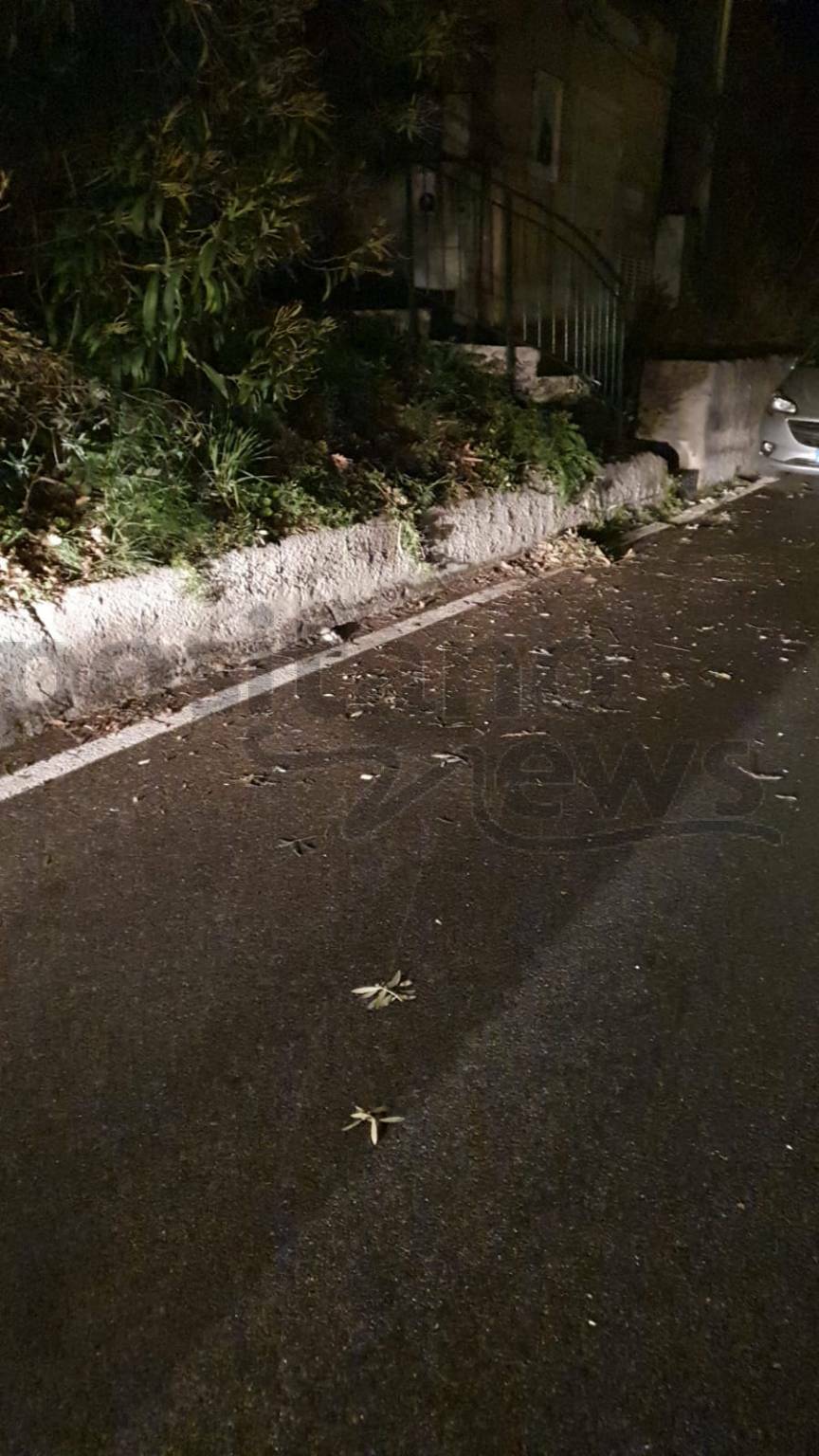 Positano alberi su strada interviene protezione civile 