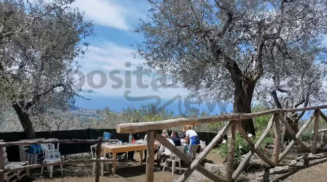 Piano di Sorrento, un primo maggio a contatto con la natura nell'azienda agricola "I giardini dell'uliveto"