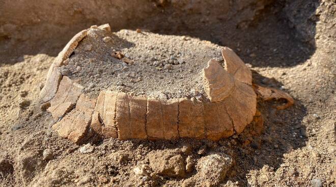 Al Parco Archeologico di Pompei il ritrovamento di una testuggine di 2000 anni fa e del suo uovo