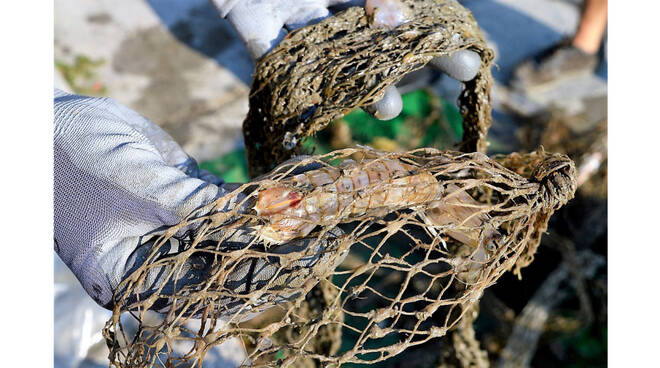 Il Comune di Positano aderisce al progetto "Una rete da pesca per la filiera dei rifiuti marini"