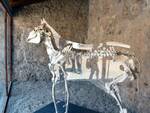 Parco Archeologico di Pompei: inaugurazione della Casa di Cerere e nuova esposizione del Cavallo di Maiuri