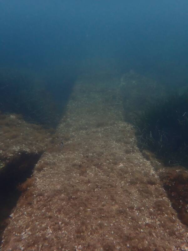 Punta Campanella, immersione di controllo per condotta fognaria a Marina Lobra: "Nessun danno o fuoriuscita"