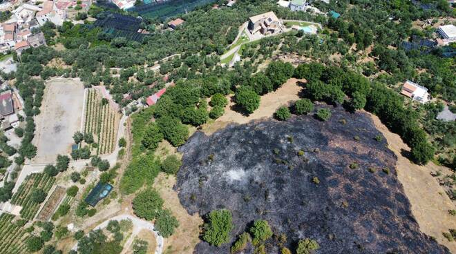 Massa Lubrense, intervento tempestivo per domare l'incendio a Tore di Casa