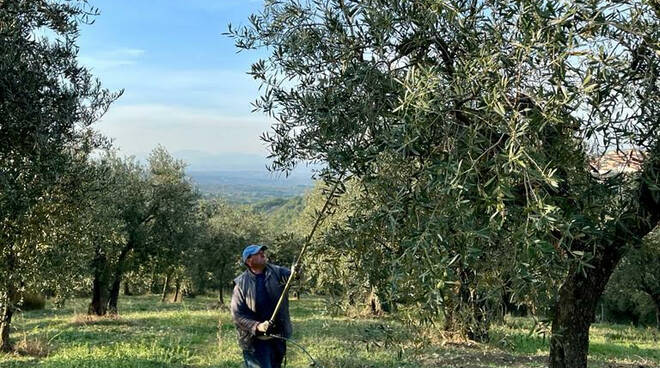 L'estate di San Martino