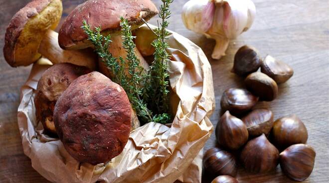 Sagra delle castagne e funghi