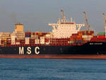 msc container