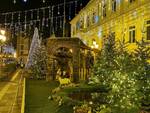 Sant'Agnello, si illumina l'albero di Natale più bello di tutti