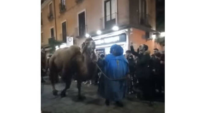 Sorrento, la parata dei Re Magi con la sorpresa della presenza dei cammelli