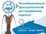 La "Cica S.r.l." cerca nuove figure professionali per le sedi di Positano, Amalfi e Ravello
