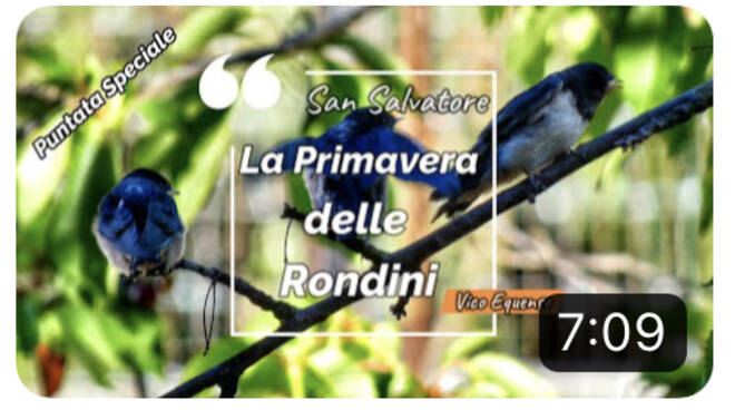 La Primavera delle Rondini