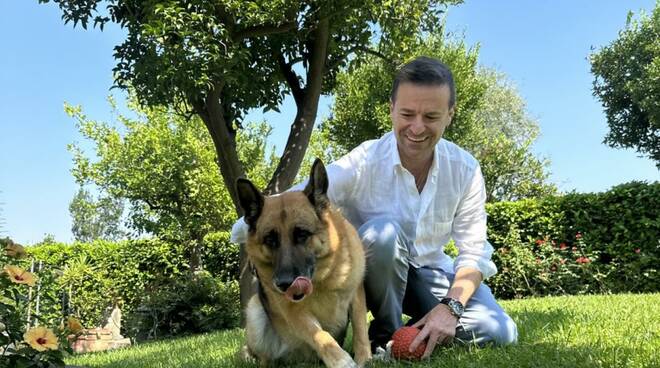 Giornata mondiale del cane il post virale del sindaco di Sorrento Massimo Coppola 