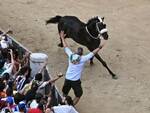 palio di Siena 2023