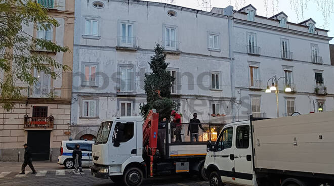 Piano di Sorrento, in Piazza Cota arriva l'albero di Natale