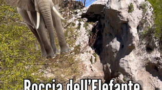 Un elefante sul Faito… curiosotà geologiche sul gigante verde