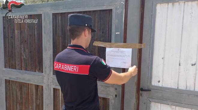 I Carabinieri sequestrano area di 23000 mq